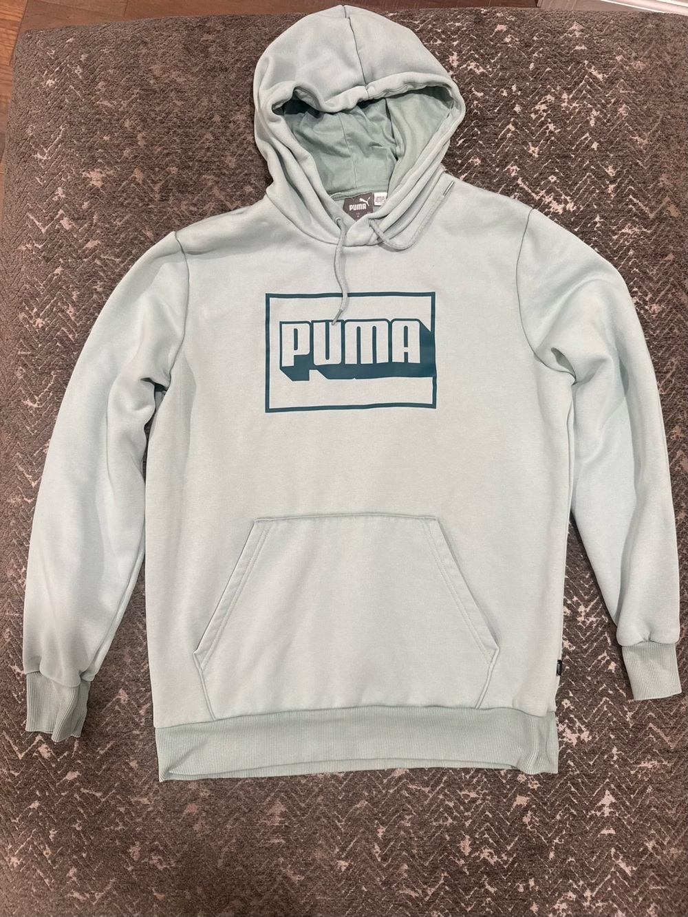 PUMA Men’s Medium Light Sea Green Box Logo Pullover Hoodie Sweatshirt